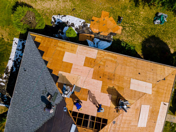 Best Residential Roof Replacement  in Hodgkins, IL