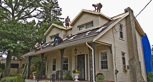 Best Residential Roofing Contractor  in Hodgkins, IL